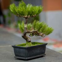 NURO光プロバイダ口コミ3