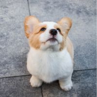 おてがる光サポート口コミ1